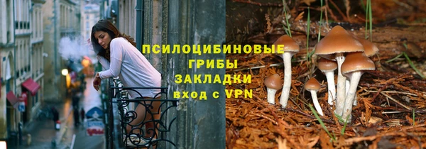 соль ск Вяземский