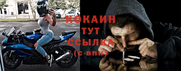 соль ск Вяземский