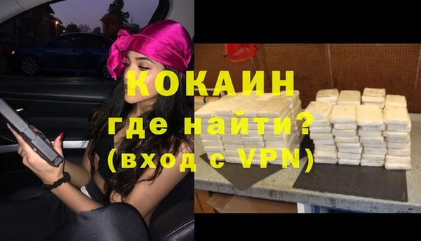 соль ск Вяземский